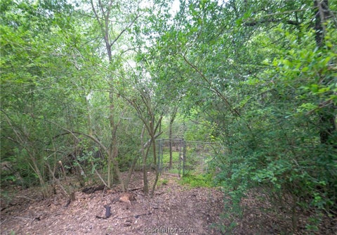 Tiny photo for 3004 Brothers Boulevard, College Station, TX 77845 (MLS # 26007214)