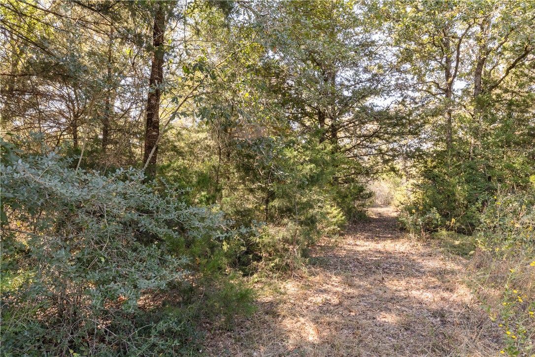 Bryan, Texas 77807, United States, 2 Bedrooms Bedrooms, ,2 BathroomsBathrooms,Residential,Pending,36785