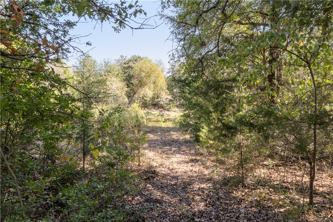 Bryan, Texas 77807, United States, 2 Bedrooms Bedrooms, ,2 BathroomsBathrooms,Residential,Pending,36785