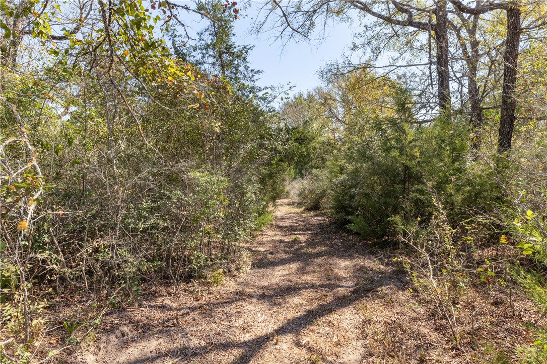 Bryan, Texas 77807, United States, 2 Bedrooms Bedrooms, ,2 BathroomsBathrooms,Residential,Pending,36785