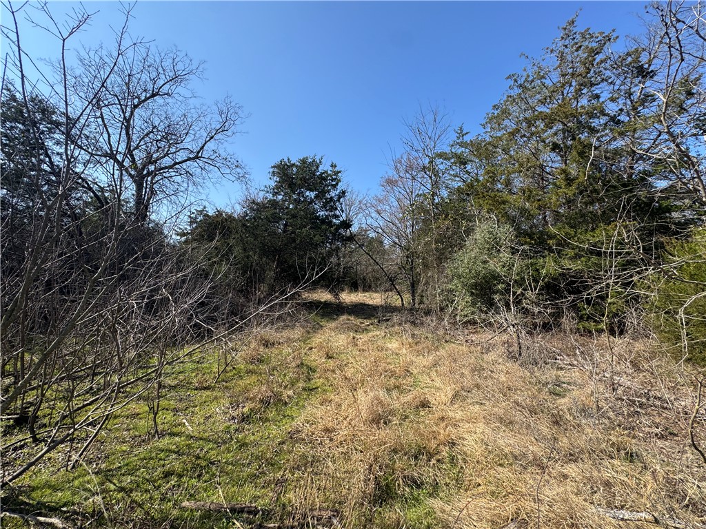 TBD (+/- 5 Acres) County Road 379