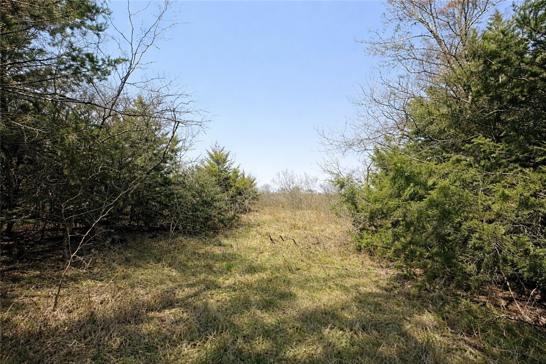 TBD (+/- 5 Acres) County Road 379
