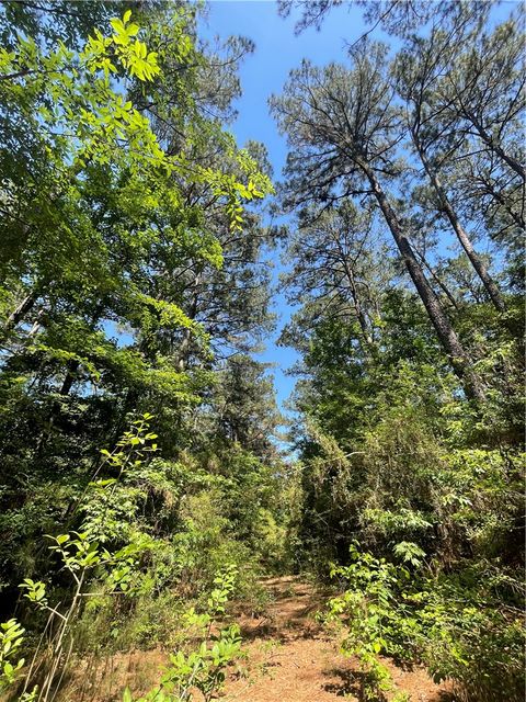 Tiny photo for 858 FM 1272, Grapeland, TX 75844 (MLS # 26006104)