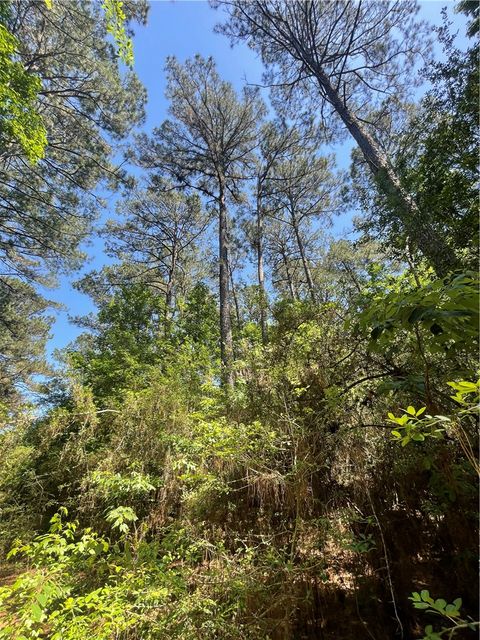 Tiny photo for 858 FM 1272, Grapeland, TX 75844 (MLS # 26006104)