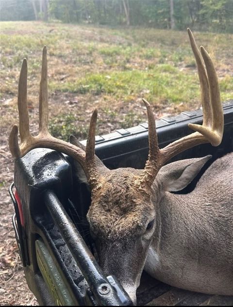 Tiny photo for 858 FM 1272, Grapeland, TX 75844 (MLS # 26006104)
