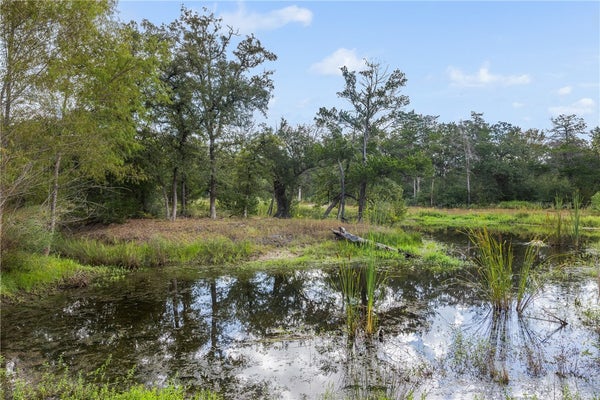 4141 FM 60 W, SOMERVILLE, TX 77879 - Image df0fee1355dab7ced5b7b6d2c2b7d2cd/508954083