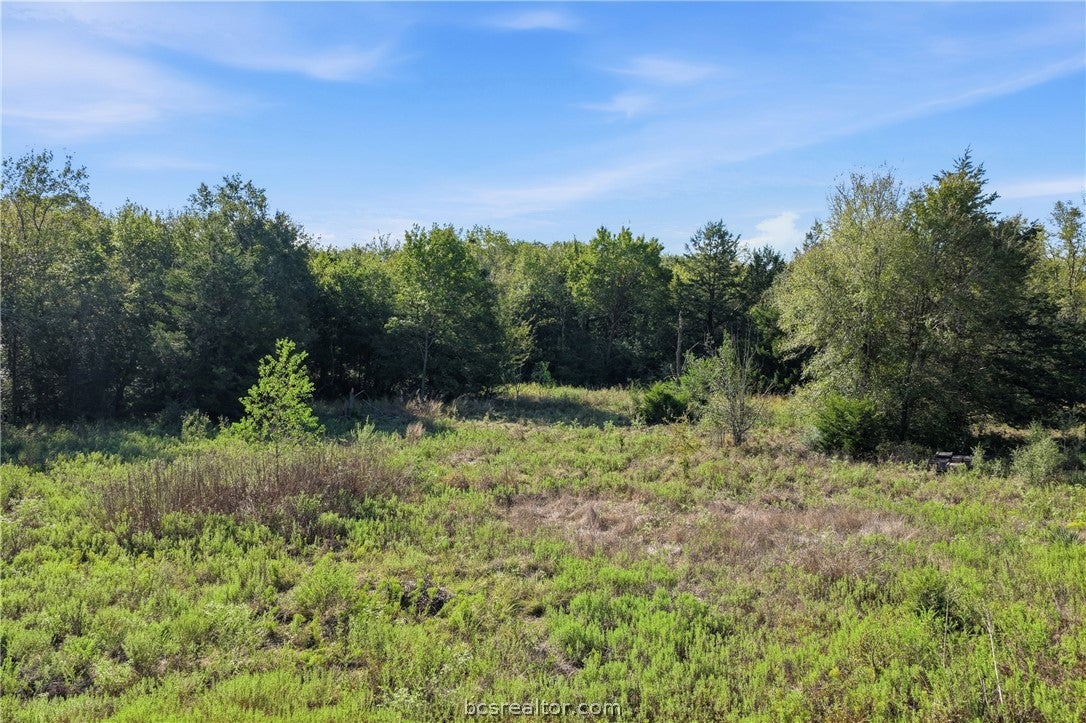 TBD Mathis Meadows Lane