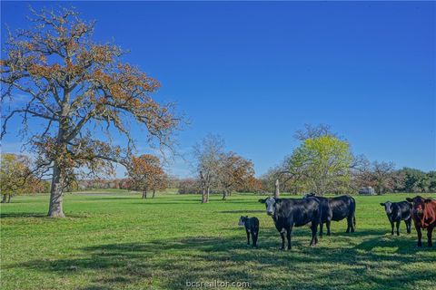 26+\/- Acres Dyess Rd, College Station, TX 77845 - MLS#: 24009043