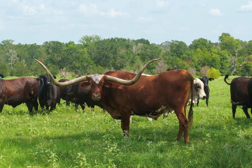 5059 County Road 132