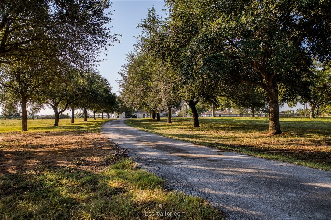 2945 B FM 3090 TX Fm 3090 Road