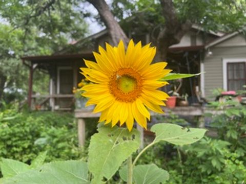 Tiny photo for 607 W Fox Street, Caldwell, TX 77836 (MLS # 26004528)