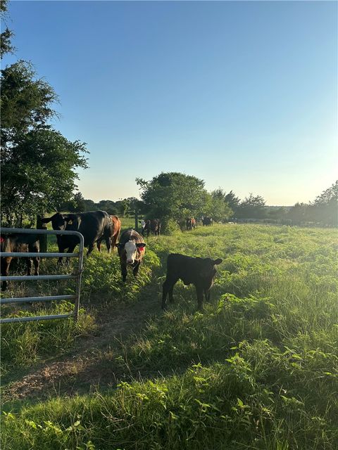 Tiny photo for 3607 county road 176, Bedias, TX 77831 (MLS # 26002911)