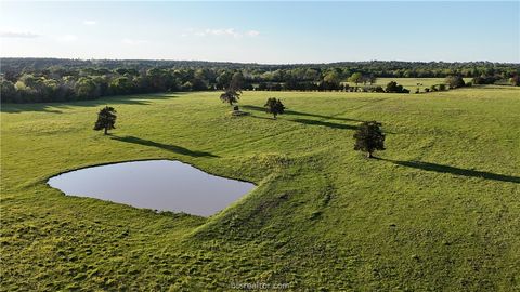 Tiny photo for 3607 county road 176, Bedias, TX 77831 (MLS # 26002911)