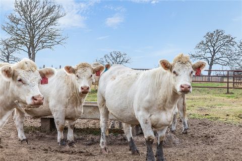 Tiny photo for 16316 County Road 436, Somerville, TX 77879 (MLS # 26002972)