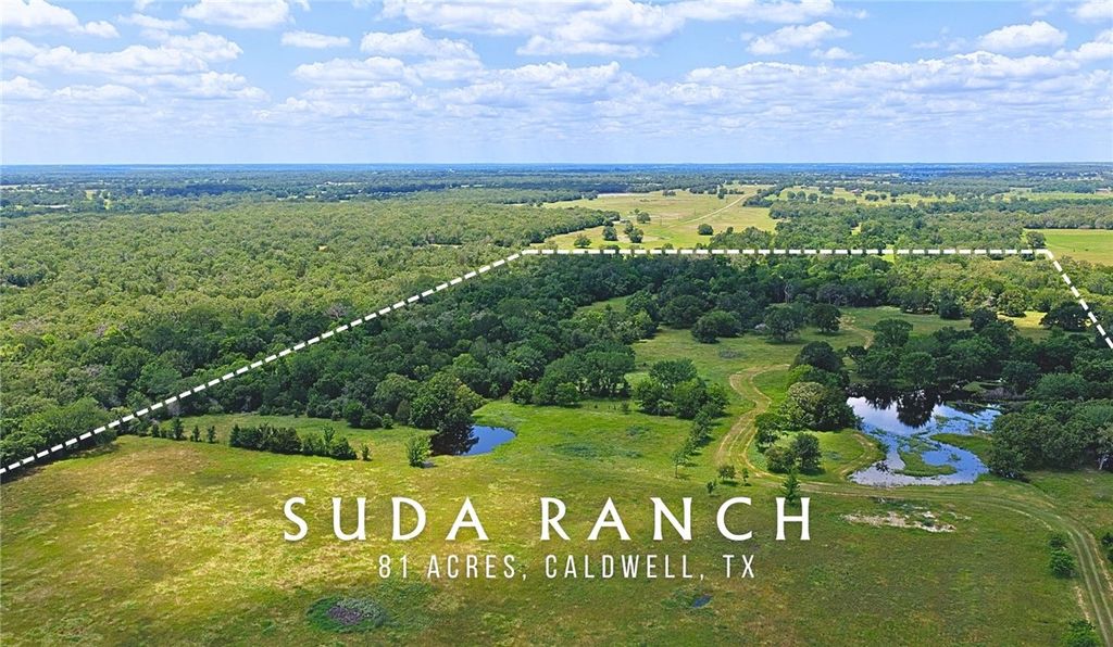 Photo of 5380 County Road 132 (81.02 acres), Somerville, TX 77879 (MLS # 26005886)