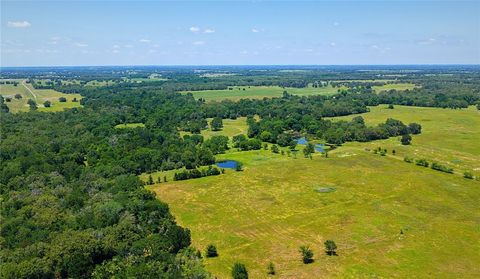 Tiny photo for 5380 County Road 132 (81.02 acres), Somerville, TX 77879 (MLS # 26005886)