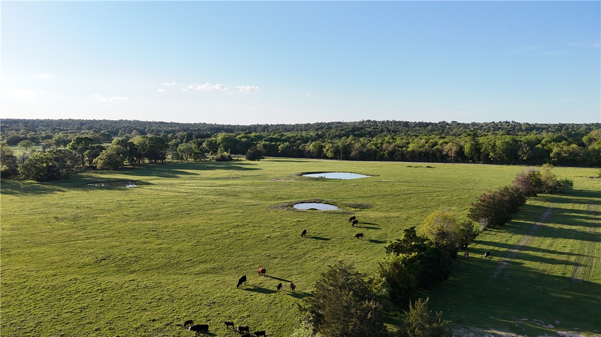 0001 County Road 176