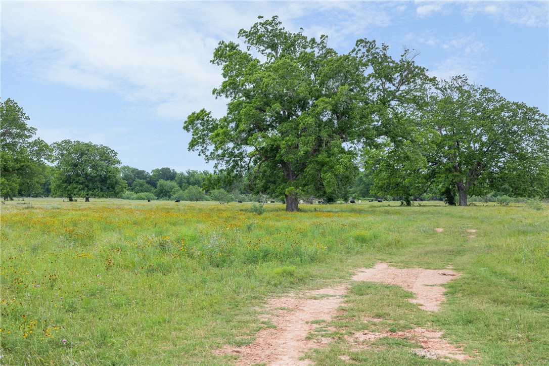 000 Terminus of CR 227