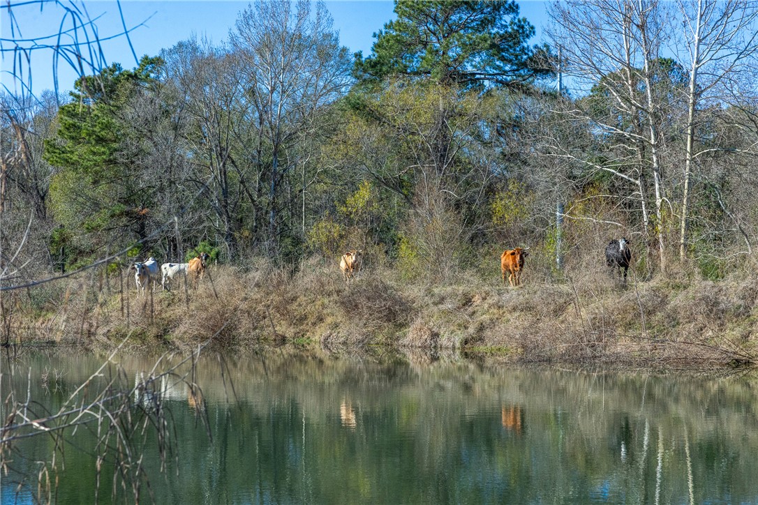 10802 County Road 203