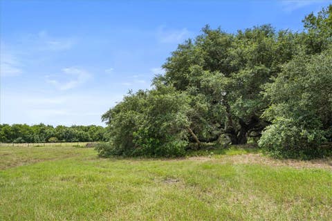 Tiny photo for 8233 Quebe Road, Brenham, TX 77833 (MLS # 26009702)