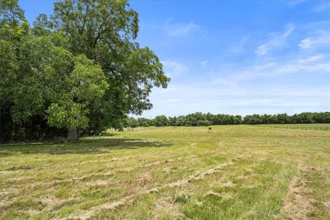 Tiny photo for 8233 Quebe Road, Brenham, TX 77833 (MLS # 26009702)