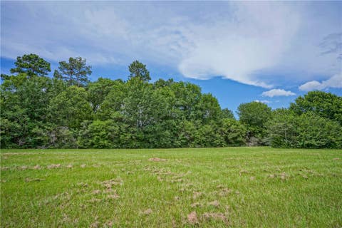 Tiny photo for 8299 County Road 179, Richards, TX 77873 (MLS # 26006884)