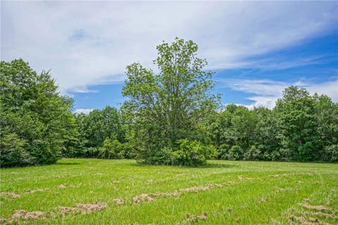 Tiny photo for 8299 County Road 179, Richards, TX 77873 (MLS # 26006884)