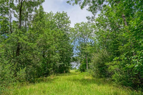 Tiny photo for 8299 County Road 179, Richards, TX 77873 (MLS # 26006884)