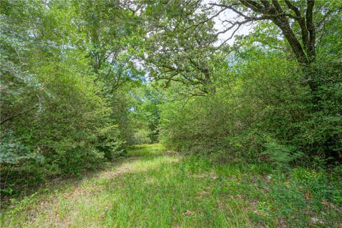 Tiny photo for 8299 County Road 179, Richards, TX 77873 (MLS # 26006884)
