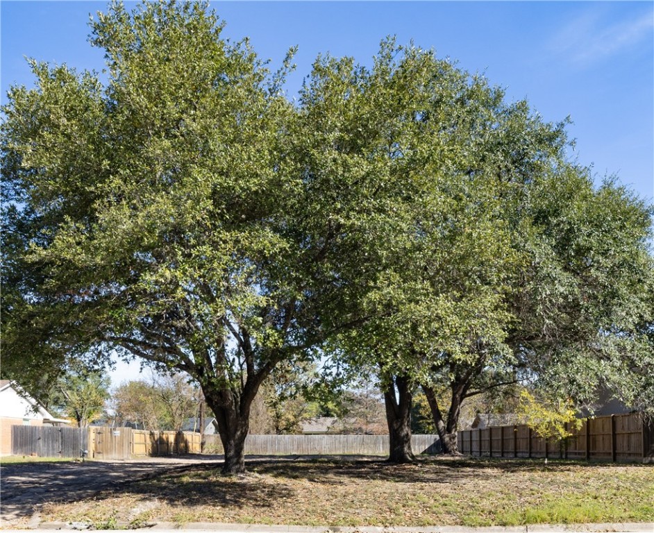 Bryan, Texas 77802, United States, ,Land,Active,23651