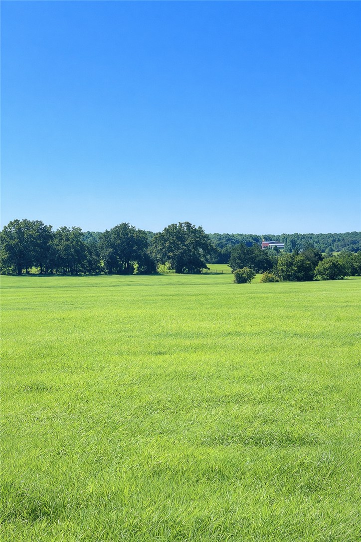 TBD (+/- 38.77 Acres) Andreski Road