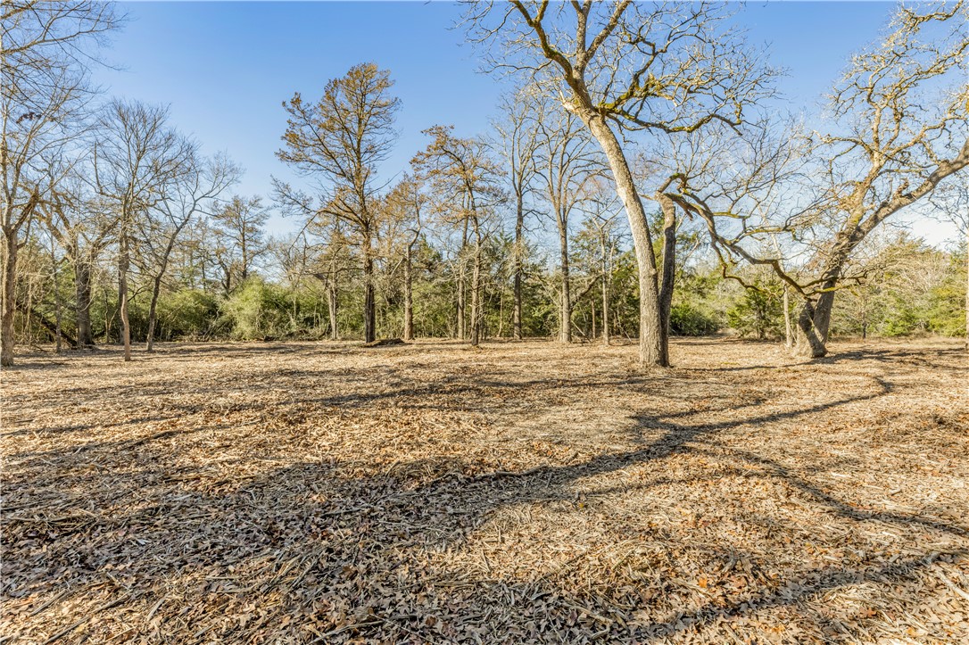 Bryan, Texas 77808, United States, ,Land,Pending,10035