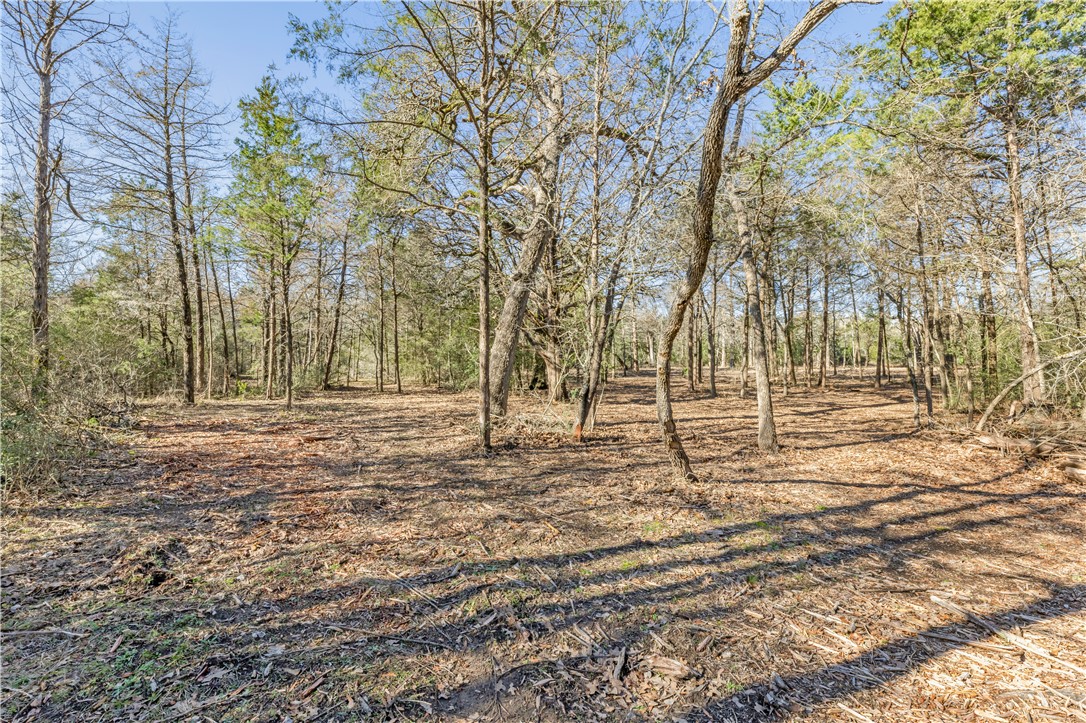 Bryan, Texas 77808, United States, ,Land,Pending,10035