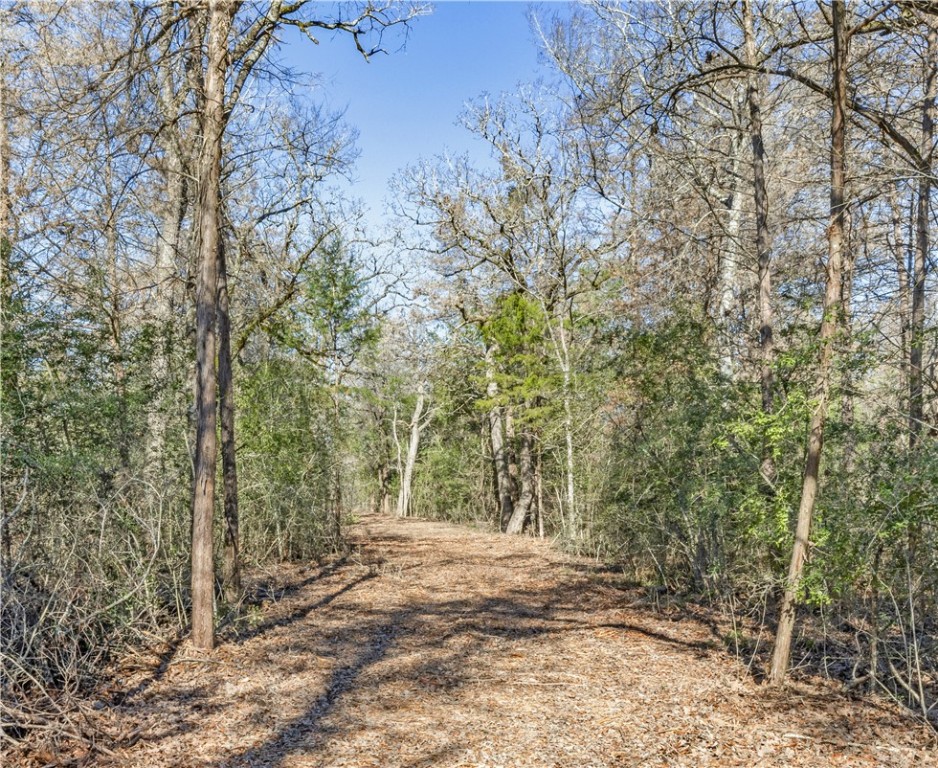 Bryan, Texas 77808, United States, ,Land,Pending,10035