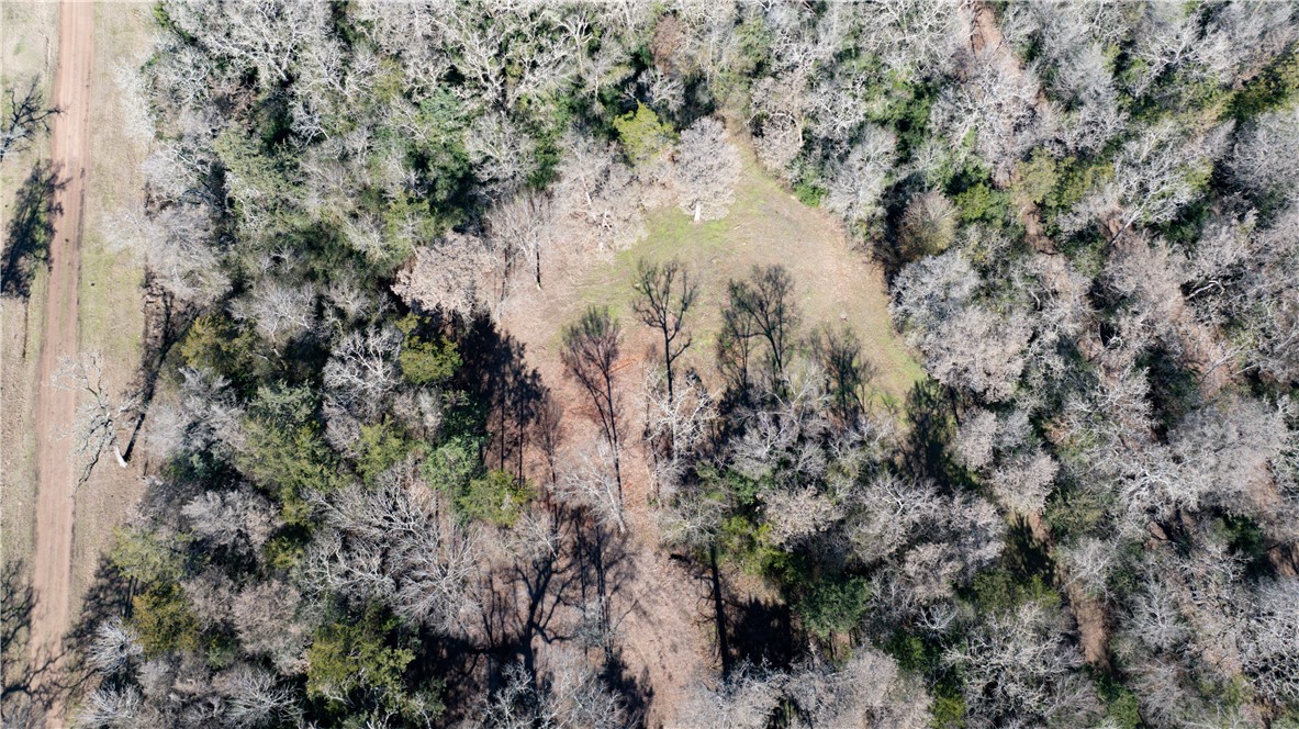 Bryan, Texas 77808, United States, ,Land,Pending,10035