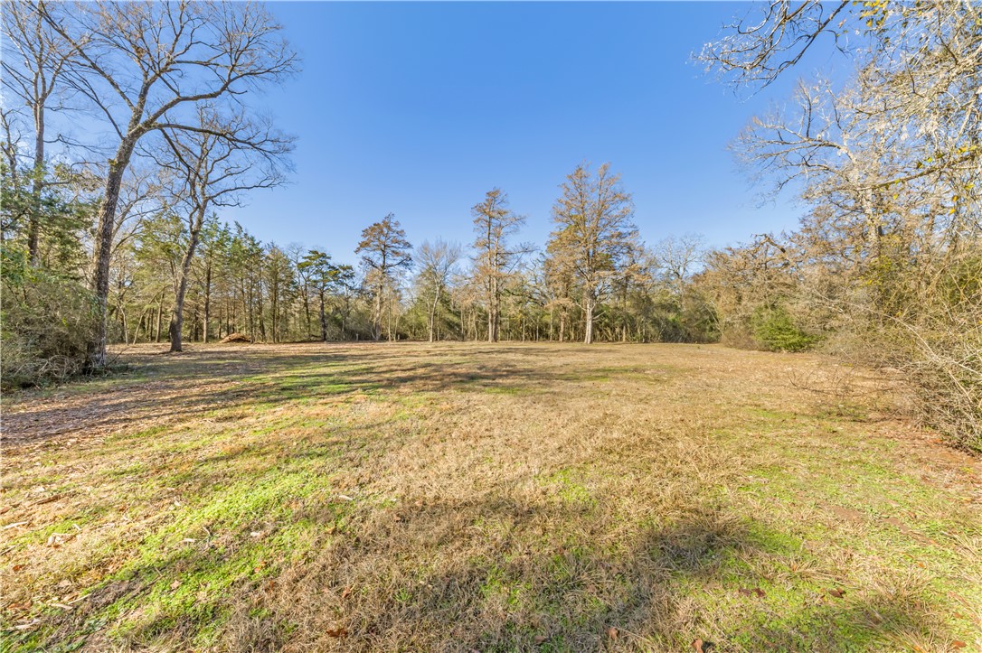Bryan, Texas 77808, United States, ,Land,Pending,10035