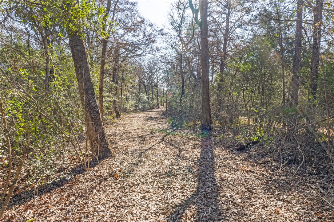 Bryan, Texas 77808, United States, ,Land,Pending,10035