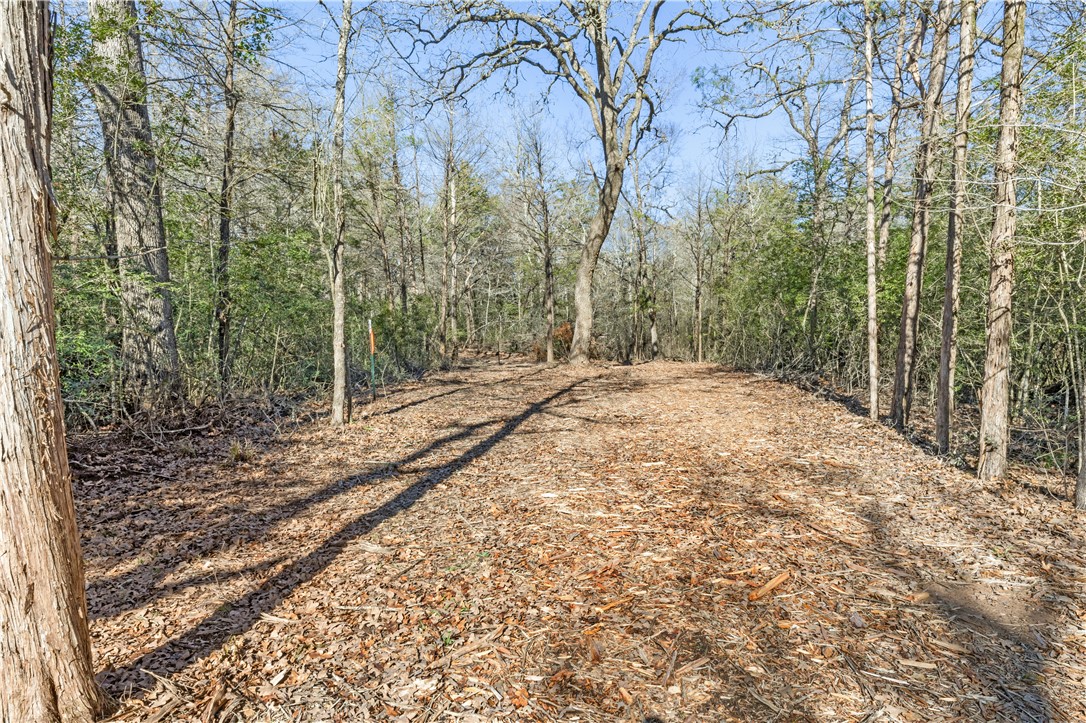 Bryan, Texas 77808, United States, ,Land,Pending,10035