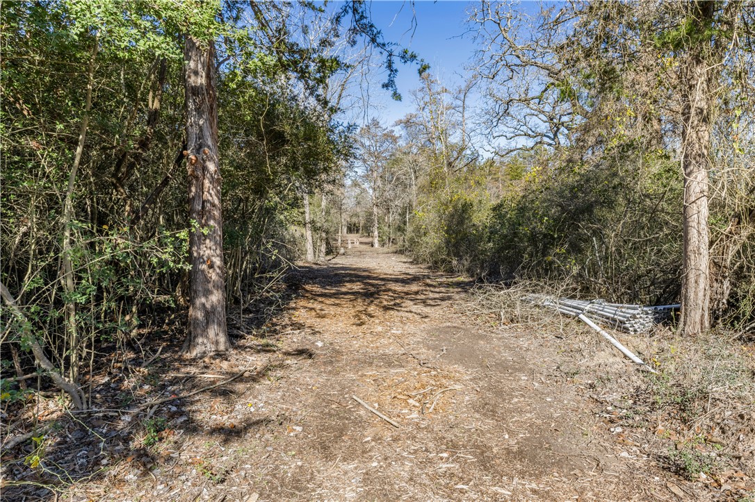 Bryan, Texas 77808, United States, ,Land,Pending,10035