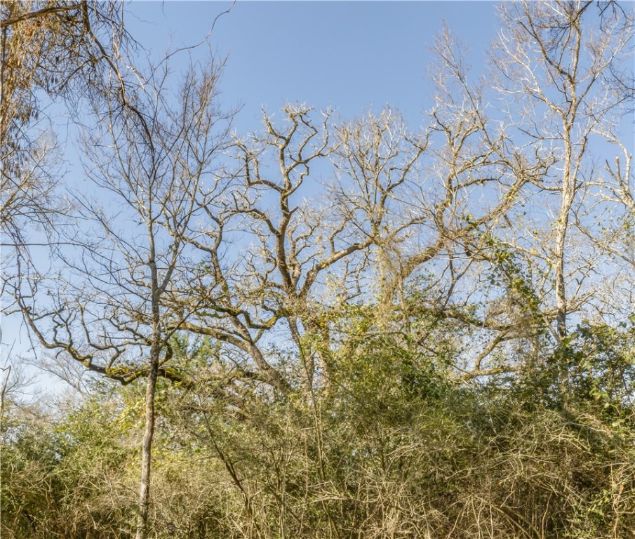 Bryan, Texas 77808, United States, ,Land,Pending,10035