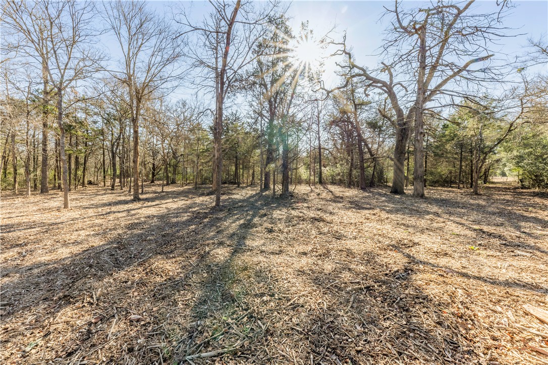 Bryan, Texas 77808, United States, ,Land,Pending,10035