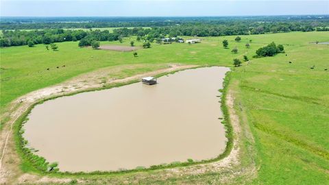 18.0723 Acres Dutton Lane Madisonville TX 77864