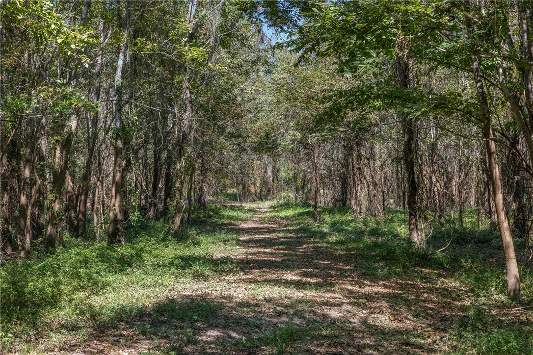 TBD State Hwy 21 E (+/- 69.227 acres)