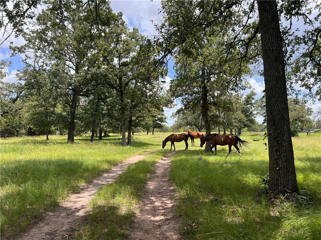 2.938 AC County Road 342