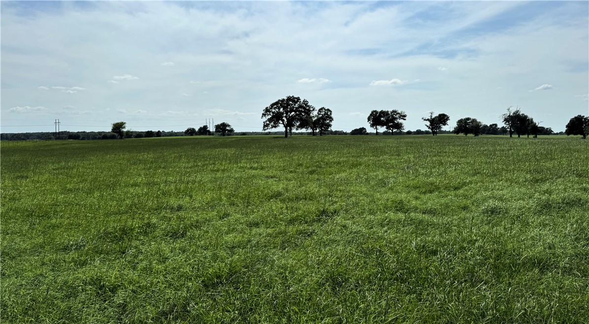 693 J W Martine Road