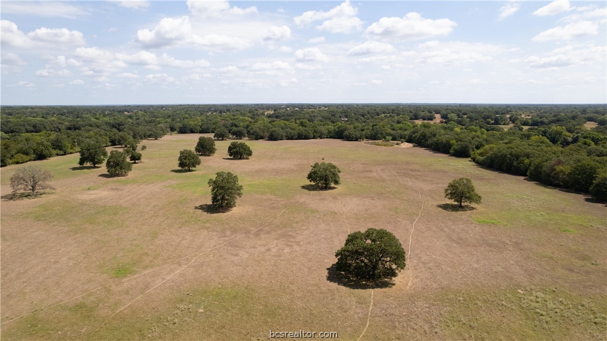 Bryan, Texas 77808, United States, ,Land,Active,74382