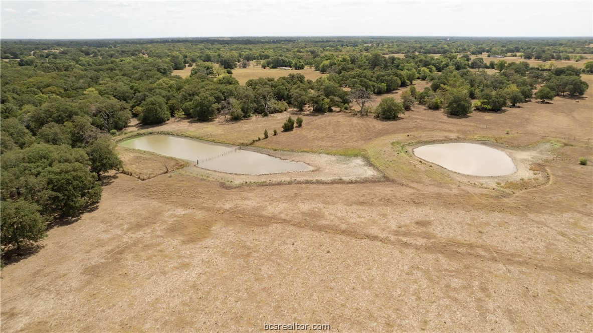 Bryan, Texas 77808, United States, ,Land,Active,74382