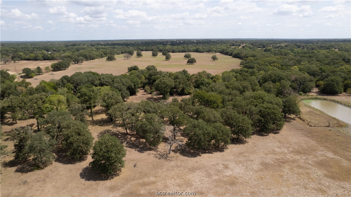 Bryan, Texas 77808, United States, ,Land,Active,74382