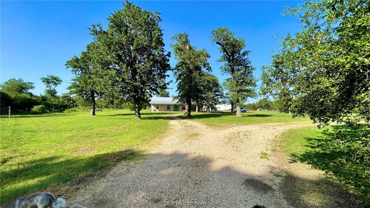 750 County Rd 206A (15.5 Acres)