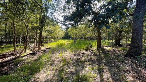 Tiny photo for 750 County Rd 206A (15.5 Acres) CountyRoad, Cameron, TX 76520 (MLS # 26010267)